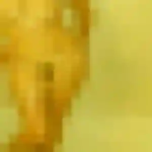 Nadia, 21 ans, dispo pour rencontre sexy à Aucamville