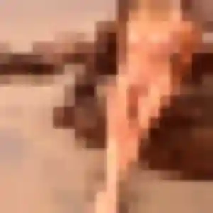 rencontre sexy à Beauvoisin : photo de Ariane, 41 ans - sans engagement