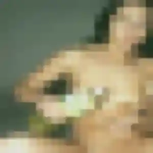 Bertille, 38 ans, cherche un rencontre sexy à Bellevigny