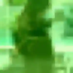 Eliane, 34 ans, cherche un rencontre sexy à Boulay-Moselle