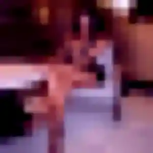 Verane (23 ans) à Boulogne-sur-Mer cherche un rencontre sexy rapidement