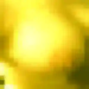 Paloma, 20 ans, dispo pour rencontre sexy à Bures-sur-Yvette