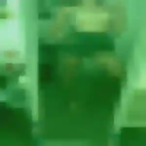 Zineb, 29 ans, connectée à Charenton-le-Pont pour une rencontre coquine