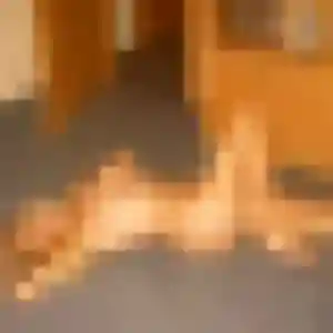 Pascale, femme de 21 ans propose rencontre sexy à Chatuzange-le-Goubet