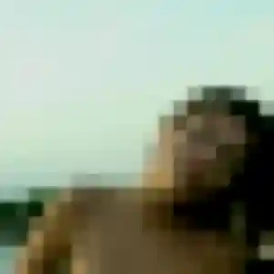 rencontre sexy à Ciboure : photo de Albertine, 44 ans - accès libre