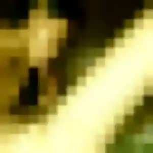 Profil de Estee à Croix (43 ans) - rencontre sexy gratuit