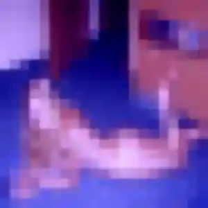 Celia (29 ans) à Dijon cherche un rencontre sexy aujourd'hui