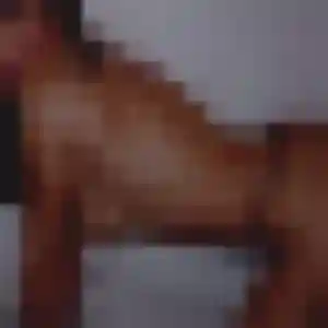 Judith, 28 ans, disponible à Étaples pour une rencontre coquine
