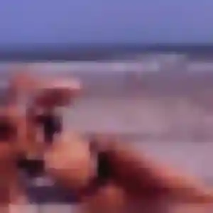 Lise, 21 ans, cherche un rencontre sexy à Fontenilles
