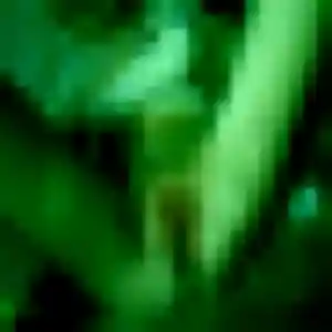 Delphine, 27 ans, en ligne à Frouzins pour une rencontre coquine