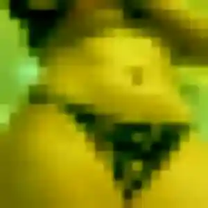 Profil de Nadine à Gif-sur-Yvette (36 ans) - rencontre sexy anonyme