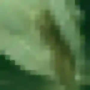 Photo de Sophie à Gourbeyre (35 ans) - rencontre sexy discret