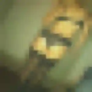 Alessandra, 44 ans, dispo pour rencontre sexy à Guer
