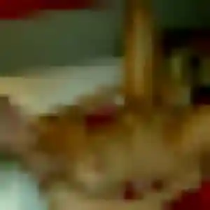 Marie-Helene, 41 ans, cherche un rencontre sexy à Guer