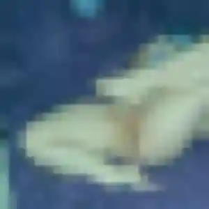 Profil de Xaviere à Juvisy-sur-Orge (19 ans) - rencontre sexy sans inscription
