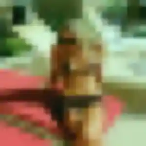 Lisette (24 ans) à Le Vésinet cherche un rencontre sexy aujourd'hui