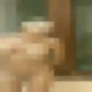 Brunehilde (40 ans) à Lunéville attend un rencontre sexy aujourd'hui