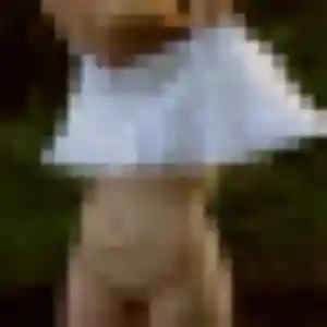 Photo sexy de Natacha, 38 ans à Mennecy - rencontre sans lendemain