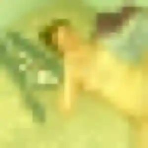 Laura, 41 ans, en ligne à Montauban-de-Bretagne pour un rencontre sexy