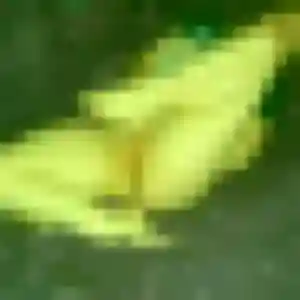 Photo privée de Mila, 28 ans à Montluçon - plan discret