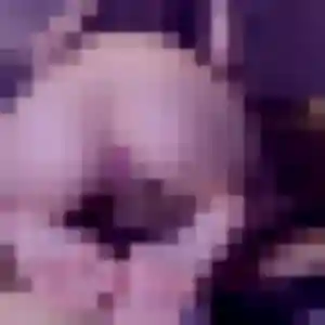 Photo perso de Maud, 44 ans à Morteau - rencontre coquine