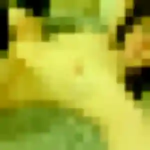 Barbara, 39 ans, cherche un rencontre sexy à Mûrs-Erigné