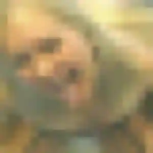 Charmante Leana, 42 ans à Nandy - voir sa photo