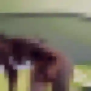 Brunehilde (40 ans) à Ouangani cherche un rencontre sexy maintenant