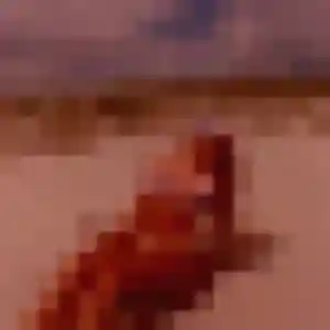 Photo sexy de Sofia, 28 ans à Parigné-l'Évêque - plan discret