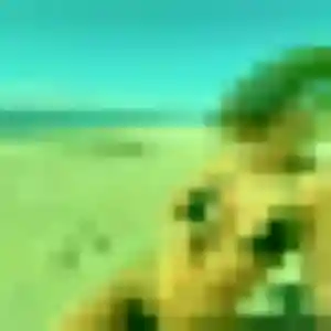 Profil de Samantha à Petit-Canal (31 ans) - rencontre sexy gratuit