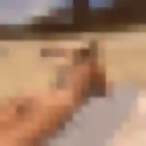 Photo sexy de Oumaima, 45 ans à Pia - rencontre coquine