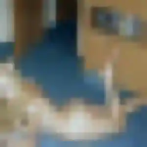 Aurore, fille de 26 ans veut rencontre sexy à Piolenc