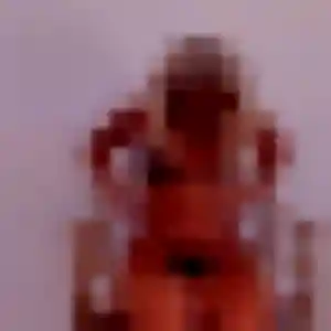 Profil de Eliane à Poitiers (30 ans) - rencontre sexy sans inscription