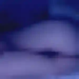 Ivana, 45 ans, en ligne à Port-Louis pour une rencontre coquine