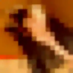 Margot, 22 ans, connectée à Provins pour une rencontre coquine