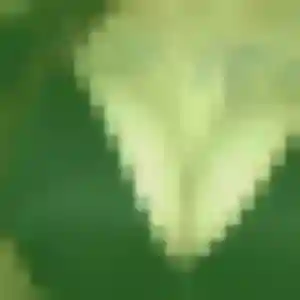 Photo sexy de Gaelle, 31 ans à Roussillon - rencontre coquine