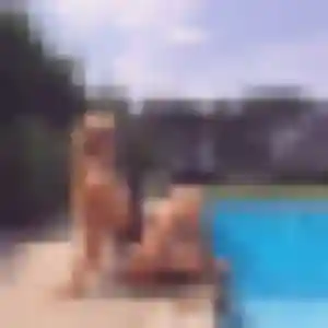 Eleonore (33 ans) à Sablé-sur-Sarthe cherche un rencontre sexy maintenant