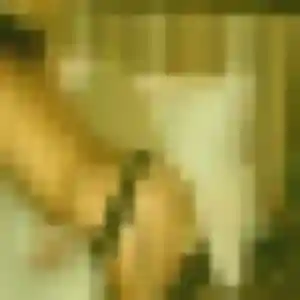 Profil de Louna à Sainghin-en-Weppes (32 ans) - rencontre sexy anonyme