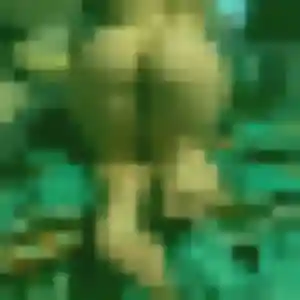 Photo sexy de Brigitte, 26 ans à Saint-Benoît - rencontre coquine