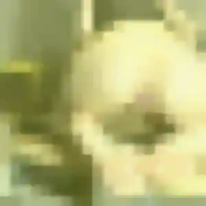 Vinciane, 32 ans, connectée à Saint-Genis-Pouilly pour une rencontre coquine