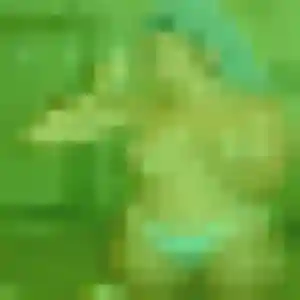Contacte Nelly, 38 ans à Saint-Gilles en privé