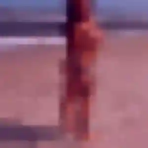 Wanda, fille de 35 ans cherche rencontre sexy à Saint-Laurent-du-Var