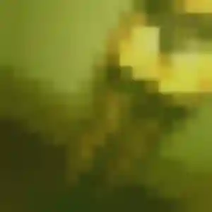 Photo de Paloma à Saint-Ouen-sur-Seine (42 ans) - rencontre sexy anonyme