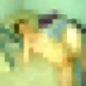 Contacte Chloe, 38 ans à Sèvremoine en privé