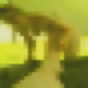 Ursule, 22 ans, en ligne à Soisy-sous-Montmorency pour un rencontre sexy