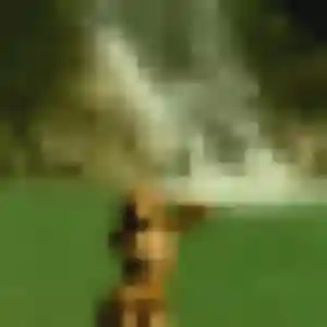 Lamia, 29 ans, connectée à Sucé-sur-Erdre pour un rencontre sexy