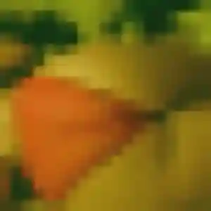 Photo sexy de Fleur, 19 ans à Tignieu-Jameyzieu - plan discret