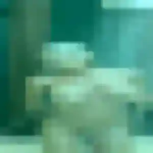 Yael, 32 ans, cherche un rencontre sexy à Toulon