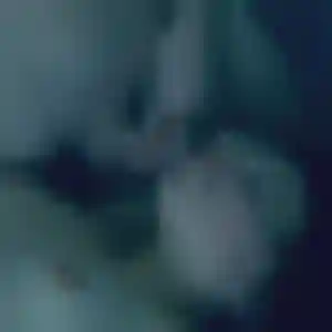 Mylene (41 ans) à Trélissac attend un rencontre sexy ce soir