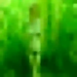 Rejoins Leonore, 26 ans à Troyes gratuitement